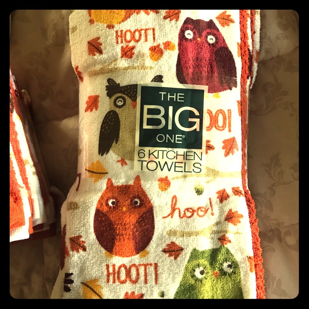 Owl dish towels